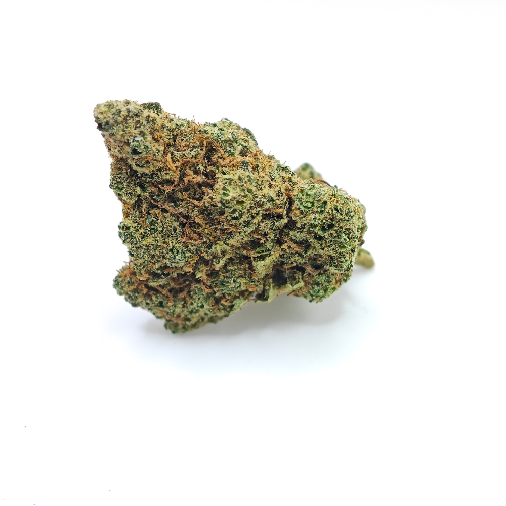 Infiorescenze Gorilla Mandarine CBD by Zambros con aroma di mandarino e sfumature di arancia e limone.